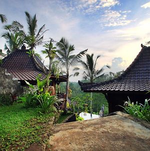 Dd Ubud Jungle Villa Exterior photo