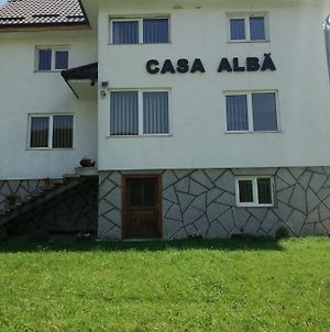 Casa Alba Βίλα Fundata Exterior photo