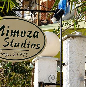 Mimoza Studios Σκιάθος Πόλη Exterior photo