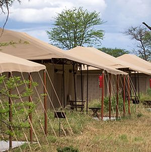 Serengeti Acacia Central Camp Ξενοδοχείο Exterior photo