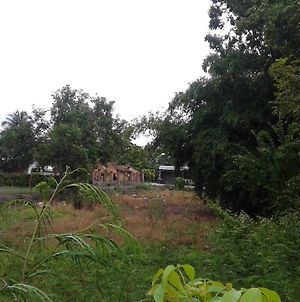 Nita'S Homestay Banyuwangi Banyuwangi (East Java) Exterior photo