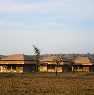 Serengeti Wild Camp Ξενοδοχείο Exterior photo