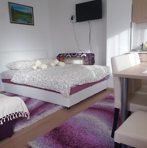 Apartment Bucic Ζλάτιμπορ Room photo