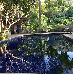 Kanita Garden @ Phuket Ξενοδοχείο Παραλία Κάτα Exterior photo