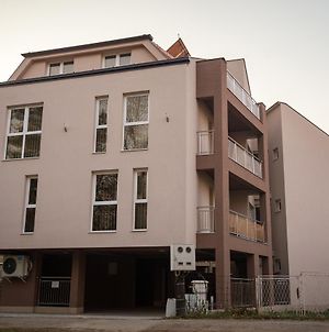 Vila Markovic-A Soko Banja Exterior photo