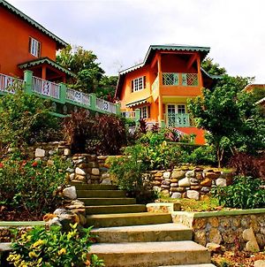 Pimento Lodge Resort Πορτ Αντόνιο Exterior photo