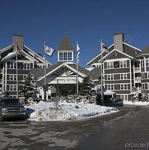 Allegheny Springs Ξενοδοχείο Snowshoe Exterior photo