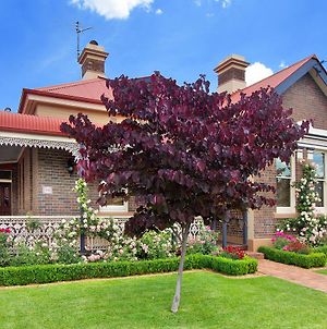 Loloma Bed And Breakfast Armidale Exterior photo
