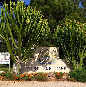 Pine Sun Park - Durcosa Διαμέρισμα Olhos de Αgua Exterior photo