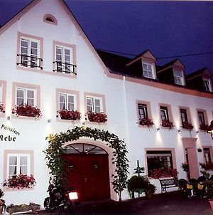 Gasthaus Zur Rebe Ξενοδοχείο Mehring  Exterior photo