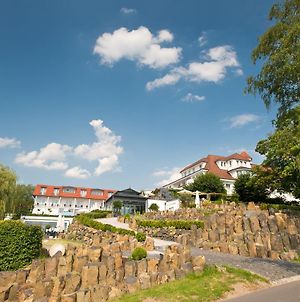 Hotel Heinz Höhr-Grenzhausen Exterior photo