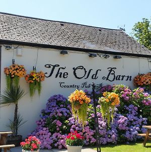 The Old Barn Inn Νιούπορτ Exterior photo