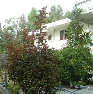 Villa Zoi Thronion Exterior photo