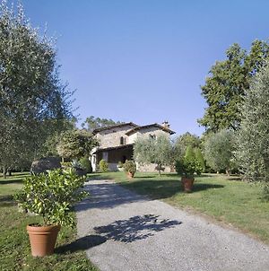 Villa Broccolo Capannori Exterior photo