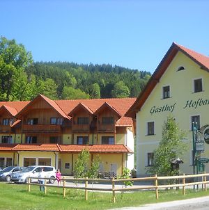 Gasthof Hofbauer Ξενοδοχείο Breitenau am Hochlantsch Exterior photo