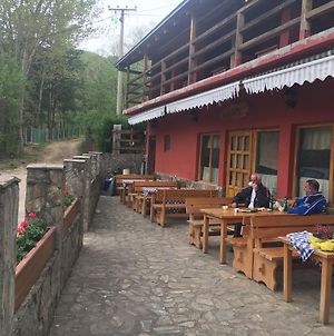 Kod Dace Ξενοδοχείο Banja Topilo Exterior photo