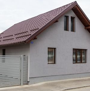 Casa Kis Βίλα Vişeu de Sus Exterior photo