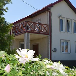 Villa & Spa Owerko Chishki Exterior photo