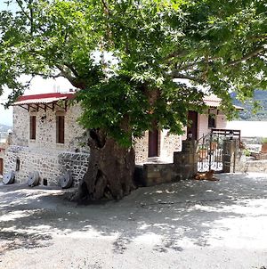 Traditional House Koukounara ξενώνας Κίσσαμος Exterior photo