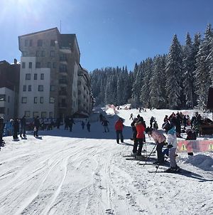 Stenata Huge Ski To Door Apartment Παμπόροβο Exterior photo