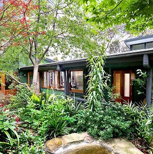 The Black Cockatoo - Secret Garden Treetops Home Katoomba Exterior photo