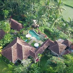 Villa Orchid Bali Ντενπασάρ Exterior photo