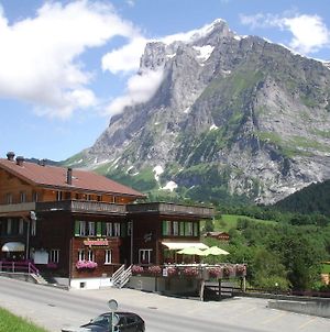 Hotel Alpenblick Γκρίντελβαλντ Exterior photo