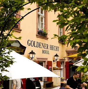 Hotel Goldener Hecht Χαϊδελβέργη Exterior photo