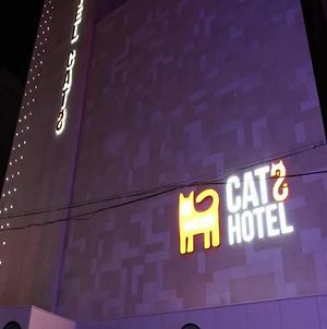 Hotel Cats Σουγόν Exterior photo
