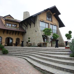 Garni Hotel Chicha - Winery Skrbic Βελιγράδι Exterior photo