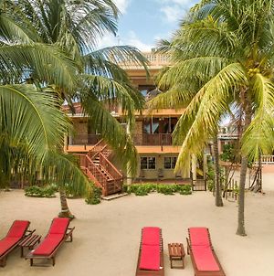 Buttonwood Belize Ξενοδοχείο Χόπκινς Exterior photo