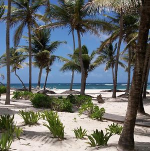 Hibiscus Beach Resort Saint Croix Exterior photo