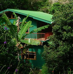Hospedaje Mariposa Monteverde Exterior photo