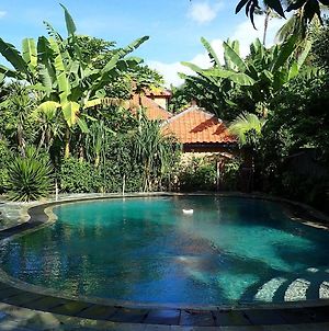 Hibiscus House Bali Ξενοδοχείο Pemuteran Exterior photo