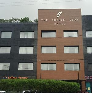 The Purple Leaf Hotels Χιντεραμπάντ Exterior photo