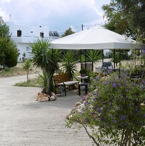 Skyros Panorama Studios Exterior photo