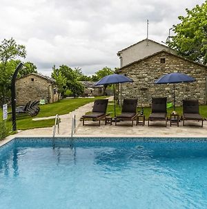 Attractive Stone Villa M-Mate With Pool - Privacy Guaranteed Pazin Exterior photo