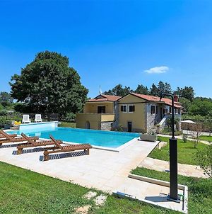 Spacious Villa Sany With Private Pool Pazin Exterior photo