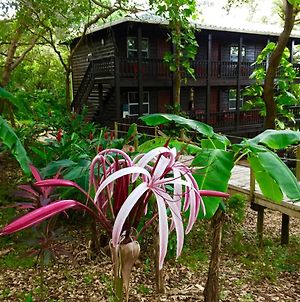 Upachaya Eco-Lodge & Wellness Resort Ροατάν Exterior photo