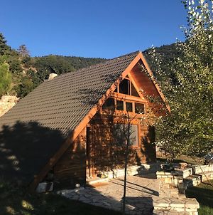 Chalet In The Forest Βίλα Καλάβρυτα Exterior photo