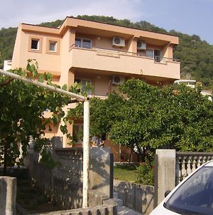 Guesthouse Lautasevic Petrovac Exterior photo