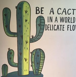 Baja'S Cactus Hostel Κάβο σαν Λούκας Exterior photo