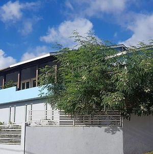 Guesthouse Curacao Βίλλεμσταντ Exterior photo