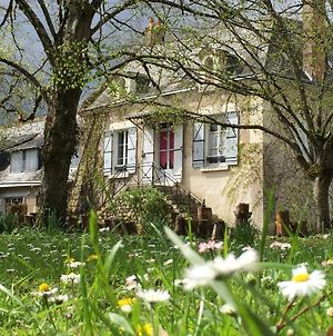 La Rossignolerie - La Familiale Vigneronne Bed and Breakfast Chouzy-sur-Cisse Exterior photo