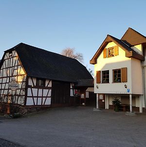 Gasthaus Dorsthof Ξενοδοχείο Alzenau in Unterfranken Exterior photo