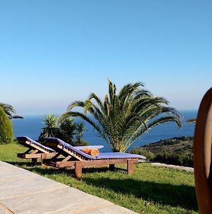 Aegean Sea Villa Σκιάθος Πόλη Exterior photo