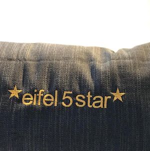 Eifel5Star - Borngasse Διαμέρισμα Daun Exterior photo