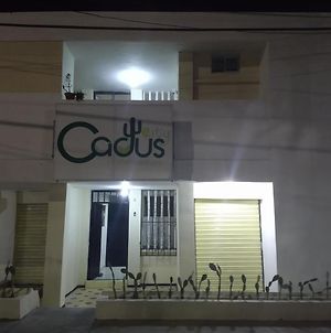 Cactus City Hostel Confort Ríohacha Exterior photo