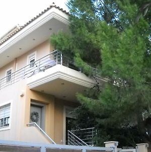Quiet Bright House Next To The Sea In Λαγονήσι Exterior photo