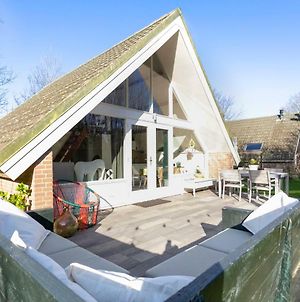 Bungalow Jonkerstee 81 - Ouddorp Near The Beach With Big Garden - Not For Companies Βίλα Exterior photo